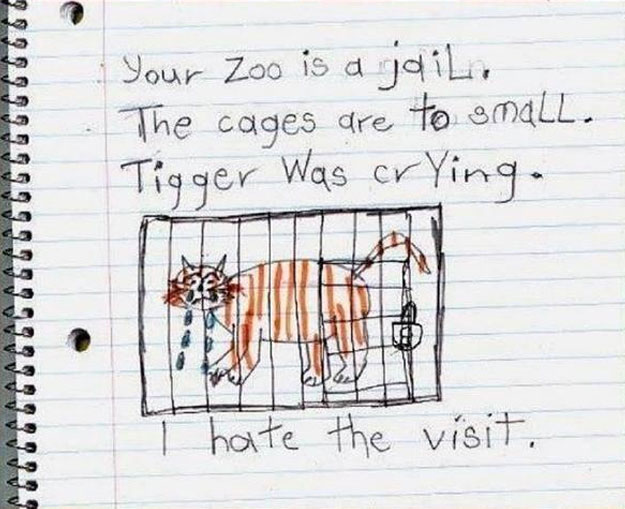 Dibujo-niño-zoo
