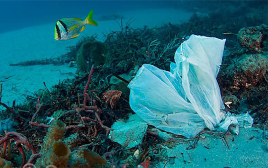 plásticos-mediterráneo-residuos
