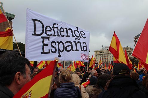 España2000 en la manifestación por la unidad de España en Madrid