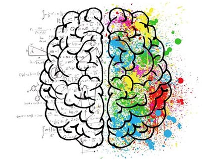 Cerebro y los colores