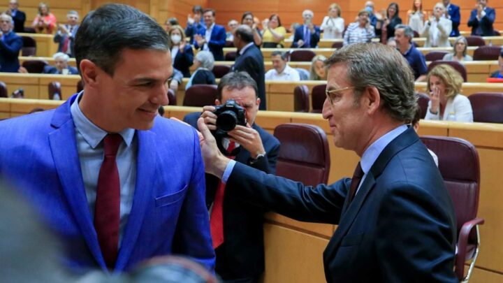 Debate entre Feijóo y Pedro Sánchez en el Senado