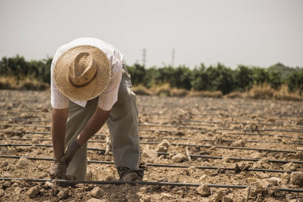 Agricultor trabajando la tierra. Los agricultores españoles en quiebra técnica