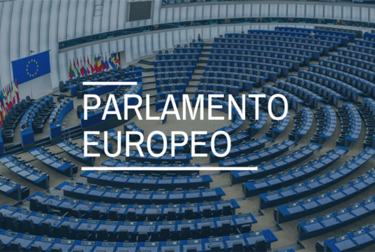 Democracia Nacional comunica que no se presenta a las elecciones europeas